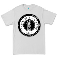 Dove Grey University Albany Suny Premium Tee - linhVisuals