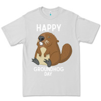 Dove Grey happy groundhog day respect the shadow funny spring prediction holiday Premium Tee - linhVisuals