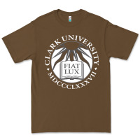 Cacao clark university Premium Tee - linhVisuals