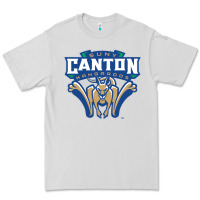 Dove Grey suny canton Premium Tee - linhVisuals