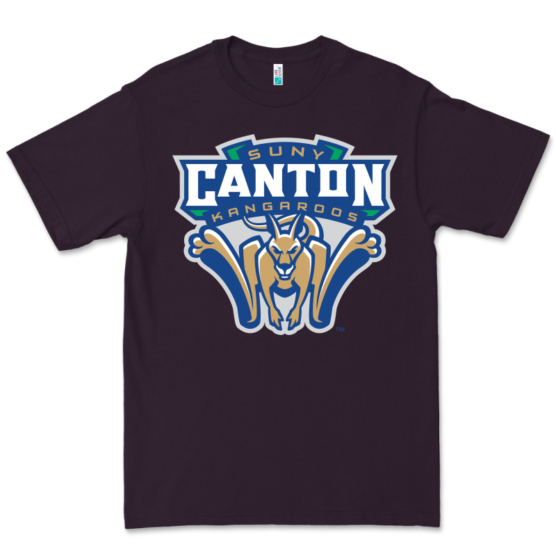 Suny Canton Premium Tee by linhVisuals | Teevron