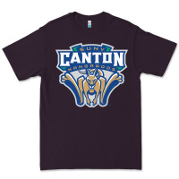 Suny Canton Premium Tee | Teevron