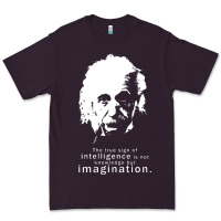 Plum albert einstein quote1 Premium Tee - linhVisuals