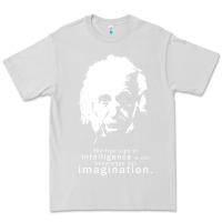 Dove Grey albert einstein quote1 Premium Tee - linhVisuals