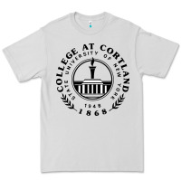 Dove Grey Suny Cortland Premium Tee - linhVisuals