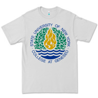 Dove Grey Suny Geneseo Premium Tee - linhVisuals