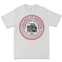Dove Grey Suny Oneonta Premium Tee - linhVisuals