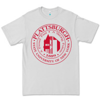 Dove Grey Suny Plattsburgh Premium Tee - linhVisuals