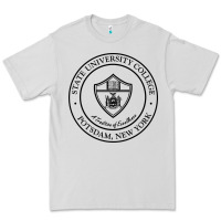 Dove Grey Suny Potsdam Premium Tee - linhVisuals
