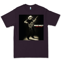 Plum brad paisley alive tour 2022 Premium Tee - linhVisuals