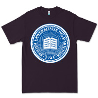 Plum University Of Delaware Premium Tee - linhVisuals