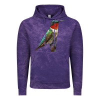 Cloud Purple Ruby Throated Hummingbird Bird Vintage Hoodie - LillyAllenDesigns