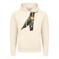 Vintage Artic Ruby Throated Hummingbird Bird Vintage Hoodie - LillyAllenDesigns