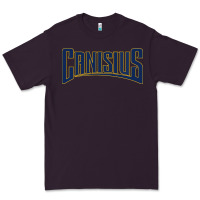Plum Canisius Athletics Wordmark Premium Tee - linhVisuals