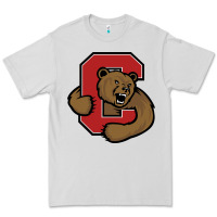 Dove Grey Cornell Big Red Premium Tee - linhVisuals