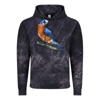 Cloud Black Eastern Bluebird Vintage Hoodie - LillyAllenDesigns