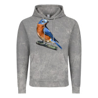 Cloud Rock Eastern Bluebird Vintage Hoodie - LillyAllenDesigns