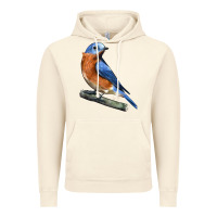 Vintage Artic Eastern Bluebird Vintage Hoodie - LillyAllenDesigns