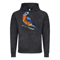 Vintage Black Eastern Bluebird Vintage Hoodie - LillyAllenDesigns