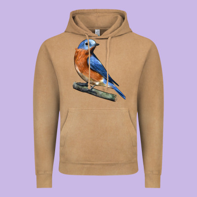Eastern Bluebird Vintage Hoodie Designed By Lillyallendesigns