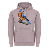 Vintage Zinc Eastern Bluebird Vintage Hoodie - LillyAllenDesigns