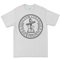 Dove Grey dickinson, college Premium Tee - linhVisuals