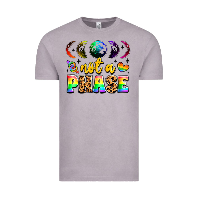 Not A Phase Pride Moon Vintage Tee by LillyAllenDesigns | Teevron