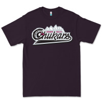 Plum Idaho Falls Chukars Premium Tee - linhVisuals
