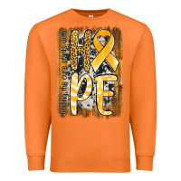 Carrot finding the cure starts with hope childhood cancer awareness  with bac Premium Sweatshirt - Jasminsmagicworld