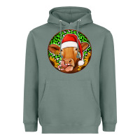 Sage christmas circle earrings Heavyweight Hoodie - Jasminsmagicworld