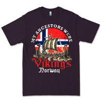 #norwegian Viking Ancestors Premium Tee | Teevron
