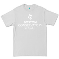Dove Grey boston conservatory at berklee Premium Tee - linhVisuals