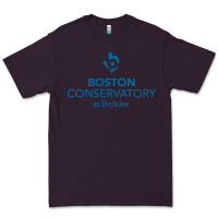 Plum boston conservatory at berklee Premium Tee - linhVisuals