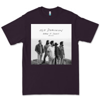 Plum old dominion make it sweet tour ii Premium Tee - linhVisuals