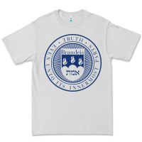 Dove Grey Brandeis University Premium Tee - linhVisuals