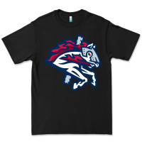 Black the-binghamton-rumble-ponies-pen Premium Tee - linhVisuals