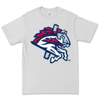 Dove Grey the-binghamton-rumble-ponies-pen Premium Tee - linhVisuals