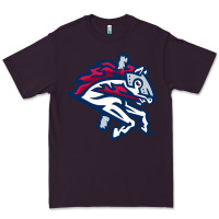 Plum the-binghamton-rumble-ponies-pen Premium Tee - linhVisuals