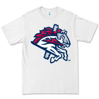 White the-binghamton-rumble-ponies-pen Premium Tee - linhVisuals