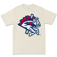 Bone the-binghamton-rumble-ponies-pen Premium Tee - linhVisuals