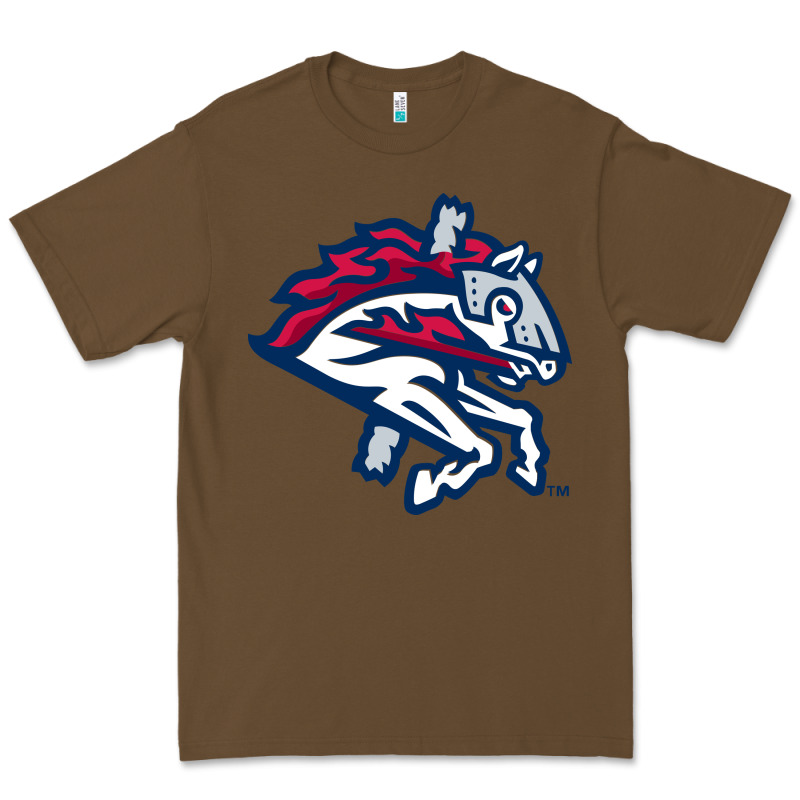 The-binghamton-rumble-ponies-pen Premium Tee by linhVisuals | Teevron