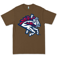 Cacao the-binghamton-rumble-ponies-pen Premium Tee - linhVisuals