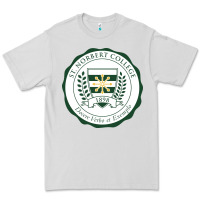 Dove Grey st. norbert college Premium Tee - linhVisuals