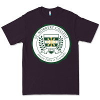 Plum st. norbert college Premium Tee - linhVisuals