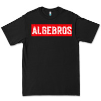 Black algebros design for math students or a present to ur teacher Premium Tee - linhVisuals