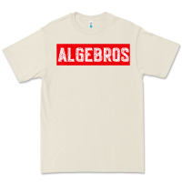 Bone algebros design for math students or a present to ur teacher Premium Tee - linhVisuals
