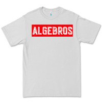Dove Grey algebros design for math students or a present to ur teacher Premium Tee - linhVisuals