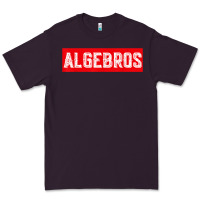 Plum algebros design for math students or a present to ur teacher Premium Tee - linhVisuals