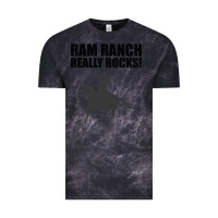 Cloud Black Ram Ranch Really Rocks! Vintage Tee - Bettercallsaul