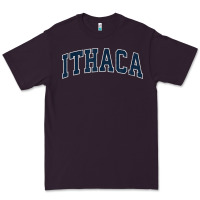 Plum ithaca new york ny vintage sports design navy design t shirt Premium Tee - linhVisuals